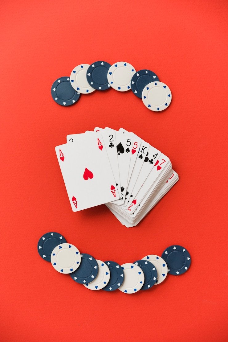 juego aviator Rueda francesa en juego aviator: tradición y precisión en un solo lugar